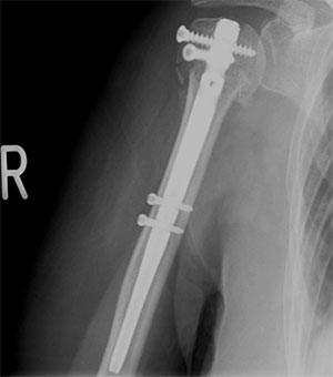 ��r���z������