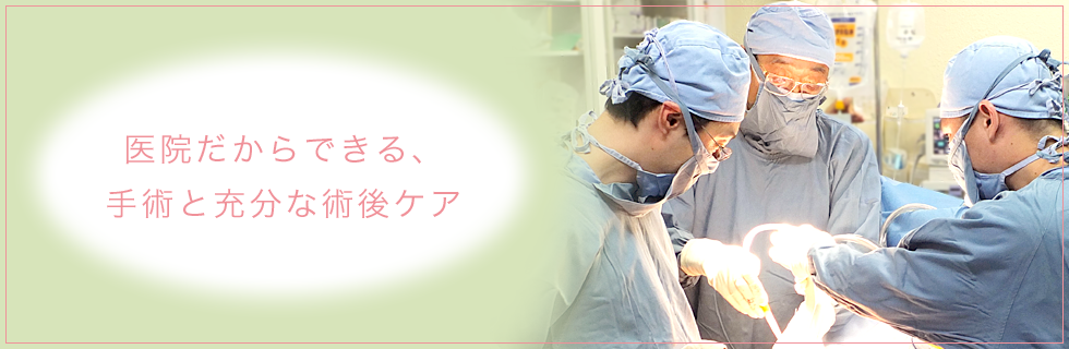 ��@������ł���A��p�Ə[���ȏp��P�A