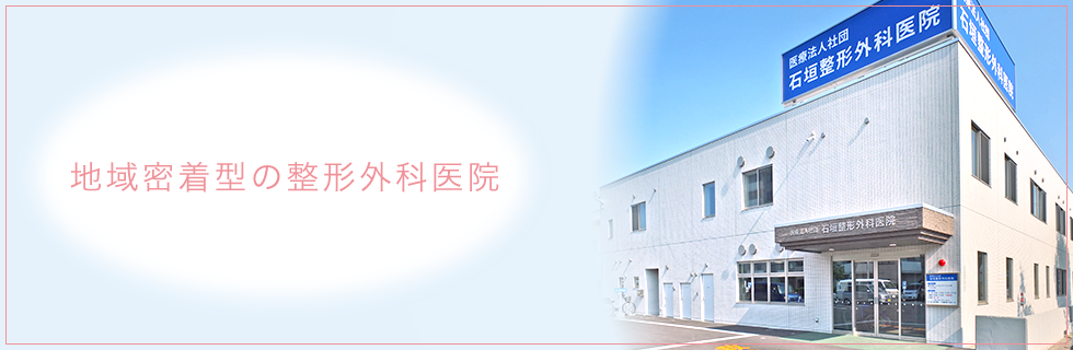 �n�斧���^�̐��`�O�Ȉ�@